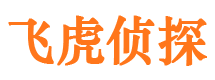 五大连池侦探